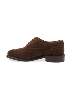 Berwick 1707 | Scarpa Derby Brogue Donna in Suede>Donna Scarpe Stringate