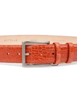 Botta & B BOTTA&B | Cintura Coccodrillo Uomo>Uomo Cinture