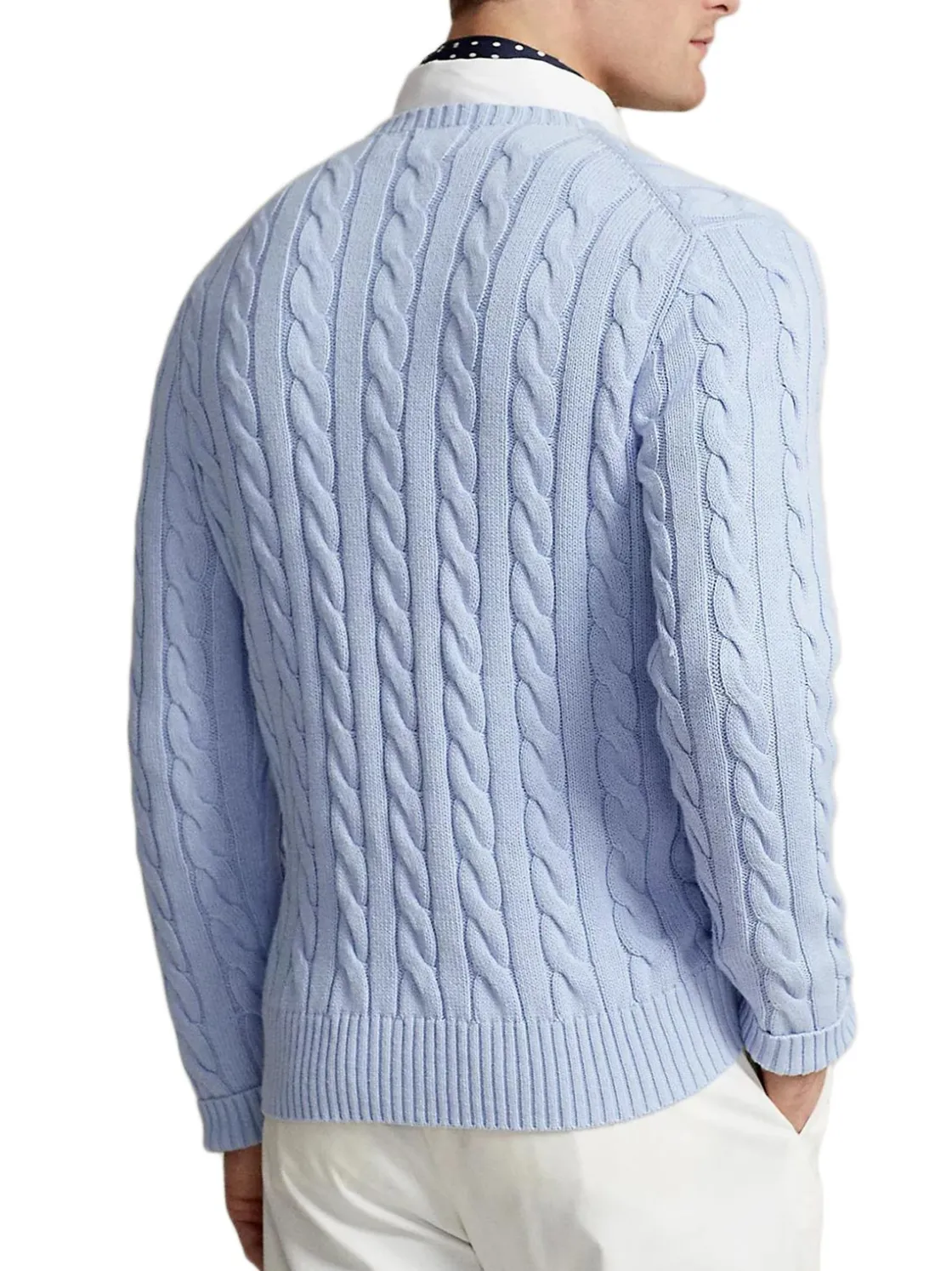 Polo Ralph Lauren | Pullover>Uomo Maglie