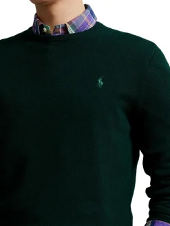 Polo Ralph Lauren | Wool Crewneck Sweater>Uomo Maglie